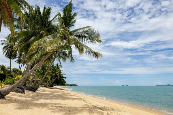 Comment les compagnies de croisières se préparent-elles pour la prochaine saison estivale ?