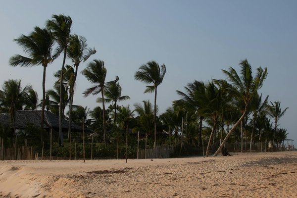 Exploration de la richesse des cultures amérindiennes : découvrez les mystères des tipis et wigwams